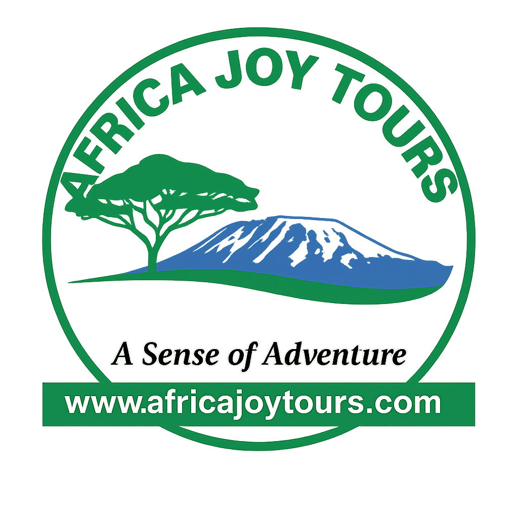 africa joy tours